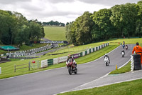 cadwell-no-limits-trackday;cadwell-park;cadwell-park-photographs;cadwell-trackday-photographs;enduro-digital-images;event-digital-images;eventdigitalimages;no-limits-trackdays;peter-wileman-photography;racing-digital-images;trackday-digital-images;trackday-photos